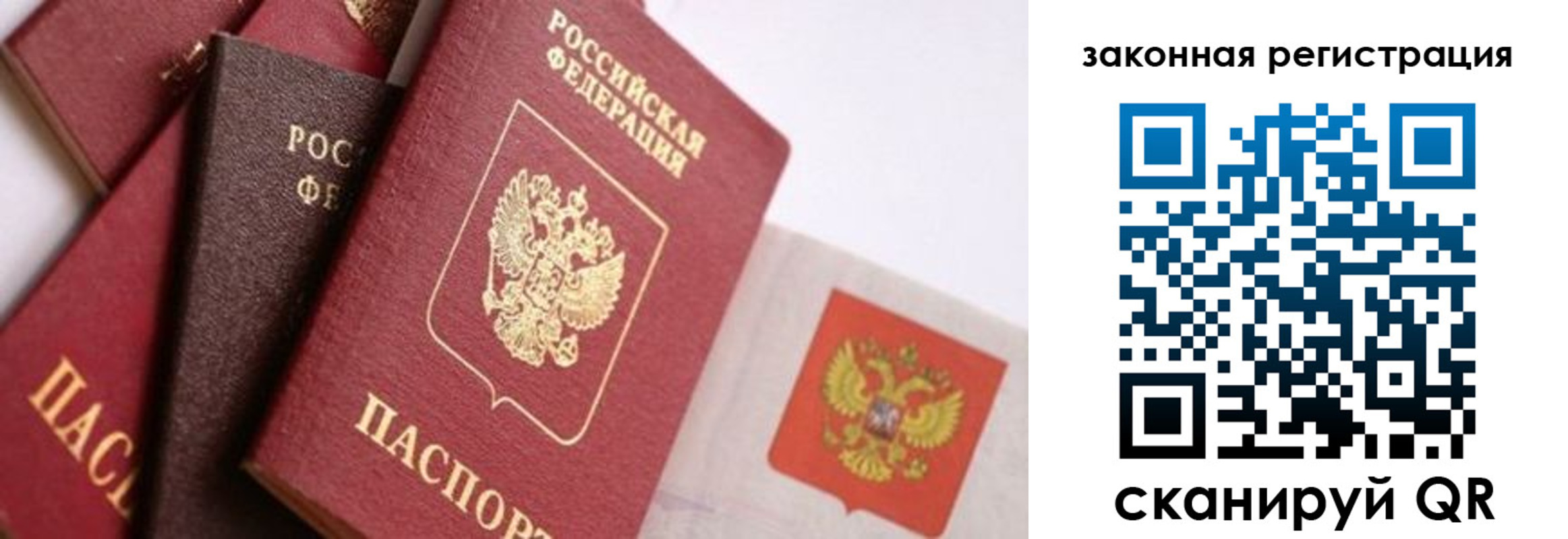 прописка штамп в Липецкая области